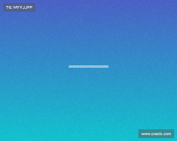 德天空称安东稳固表现使其成为多特防线核心及队内重要领袖